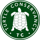 Сохранение черепах
